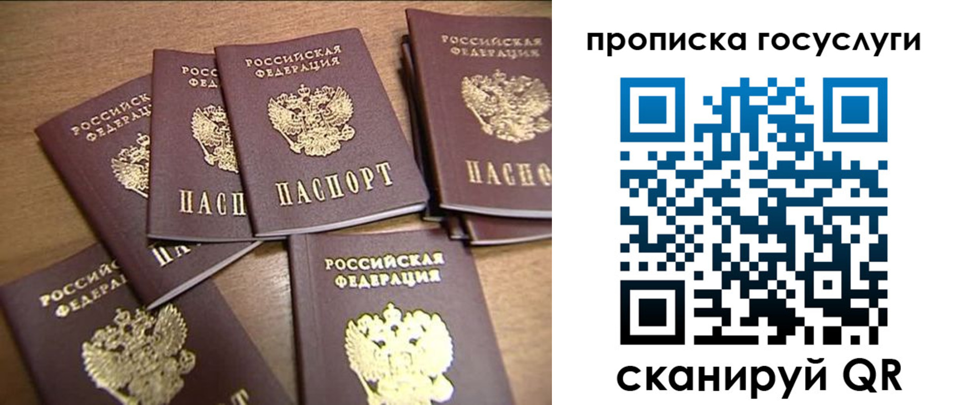 прописка для работы в Покрове